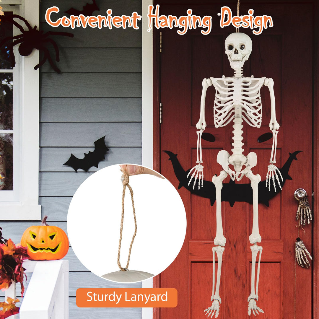 Giantex 5.4 FT Halloween Life Size Skeleton Realistic Full Body Plastic Skeleton with Movable Joints