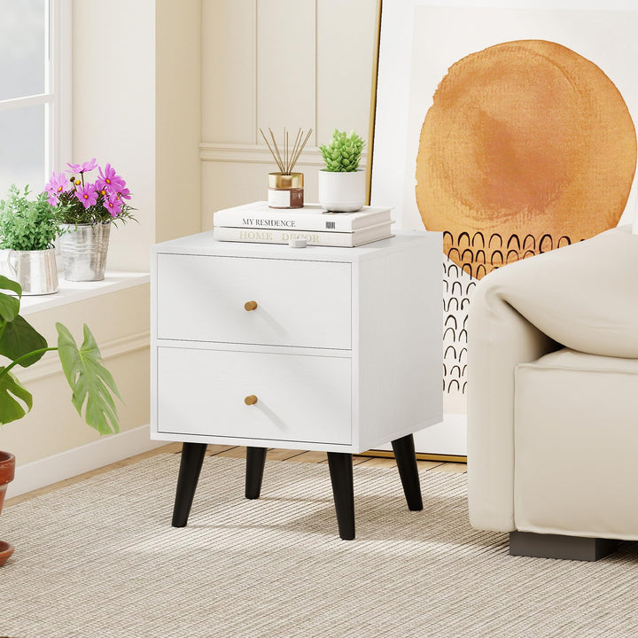 Giantex Night Stand with 2 Drawers Mid Century Modern Bedside Table