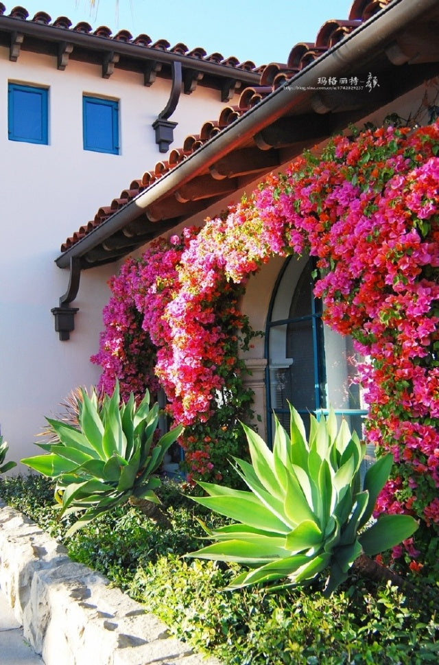 Make Your Garden More Vigorous