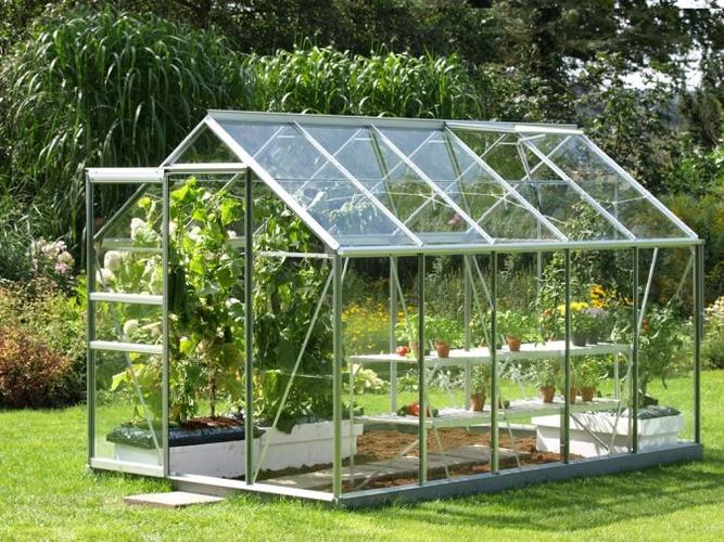Find A Warm Place for Plants