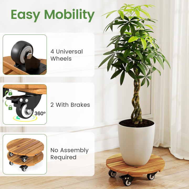 Giantex 2 Pcs and 4 Pcs Plant Caddy with Wheels with 360° Lockable Casters