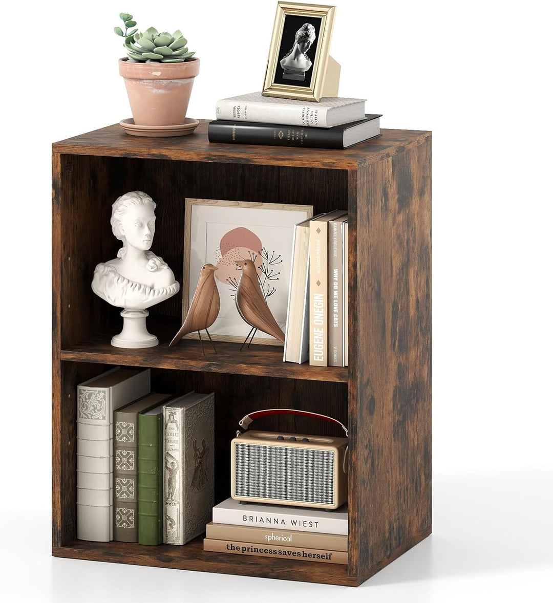 Giantex 2-Cube Bookshelf | 2-Layer Storage Shelf Bookcase w/Large-Capacity Open Storage Space