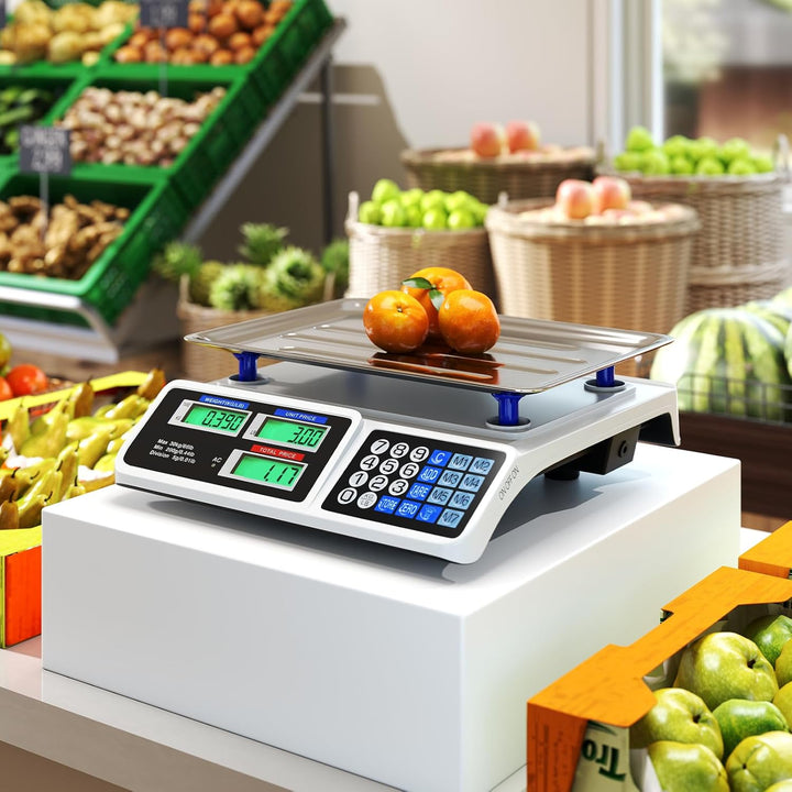 Price Computing Scale 66 lb/30 kg, Rechargeable Commercial Food Scale with Dual LCD Display