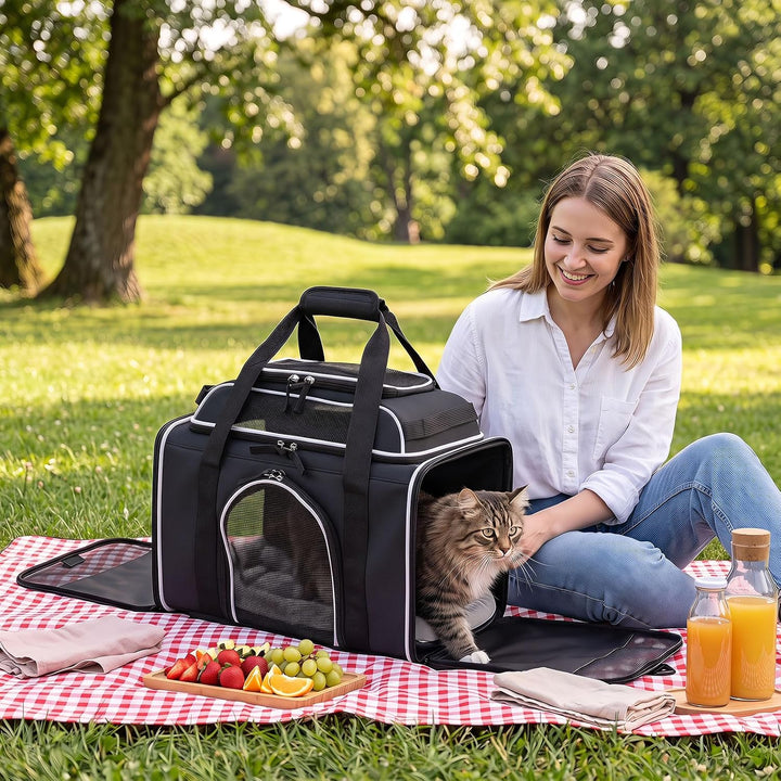 Giantex Top-Expandable Pet Carrier with Wheels for Small Cat &amp; Dog (Black) | Foldable Rolling Pet Bag with Telescopic Handle