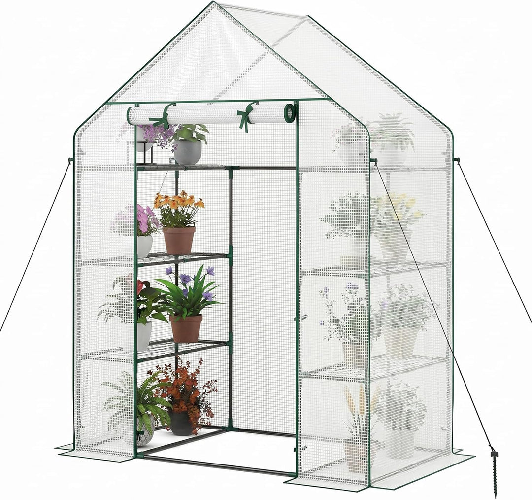 Greenhouse Outdoor Mini Walk-in Plant Green house for Plants