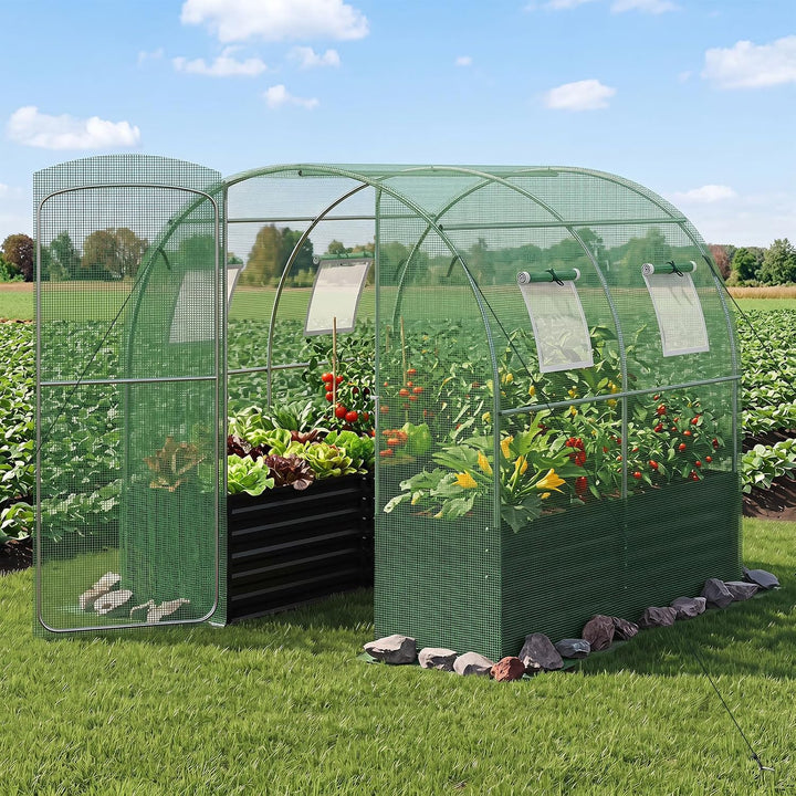 GIANTEX 6.5 x 6.5 Ft Walk-in Greenhouse with Raised Garden Bed | Plant Hot House with Galvanized Steel Frame