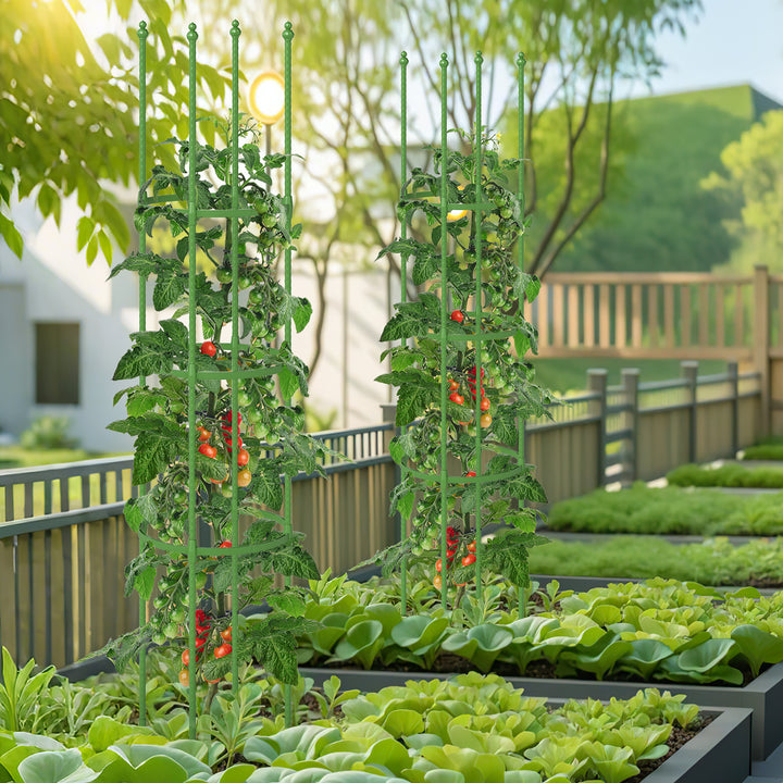 Giantex 2-Pack Tomato Cages