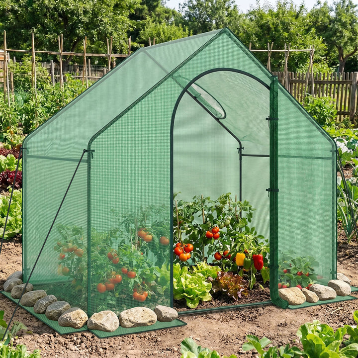 Giantex 6x3x5.5 FT Mini Walk-in Greenhouse, with Roll-up Zippered Door &amp; Window, Overlong PE Cover
