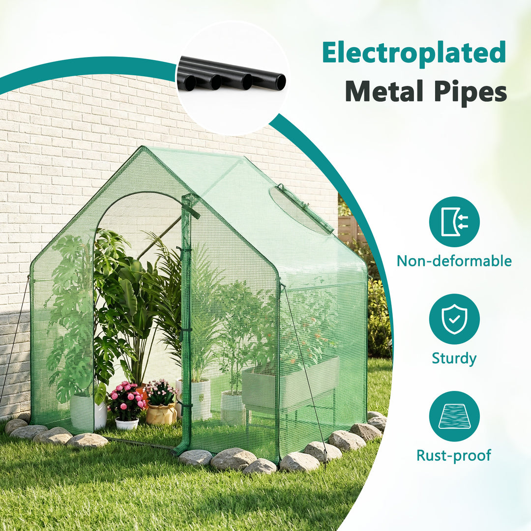 Giantex 6x3x5.5 FT Mini Walk-in Greenhouse, with Roll-up Zippered Door &amp; Window, Overlong PE Cover