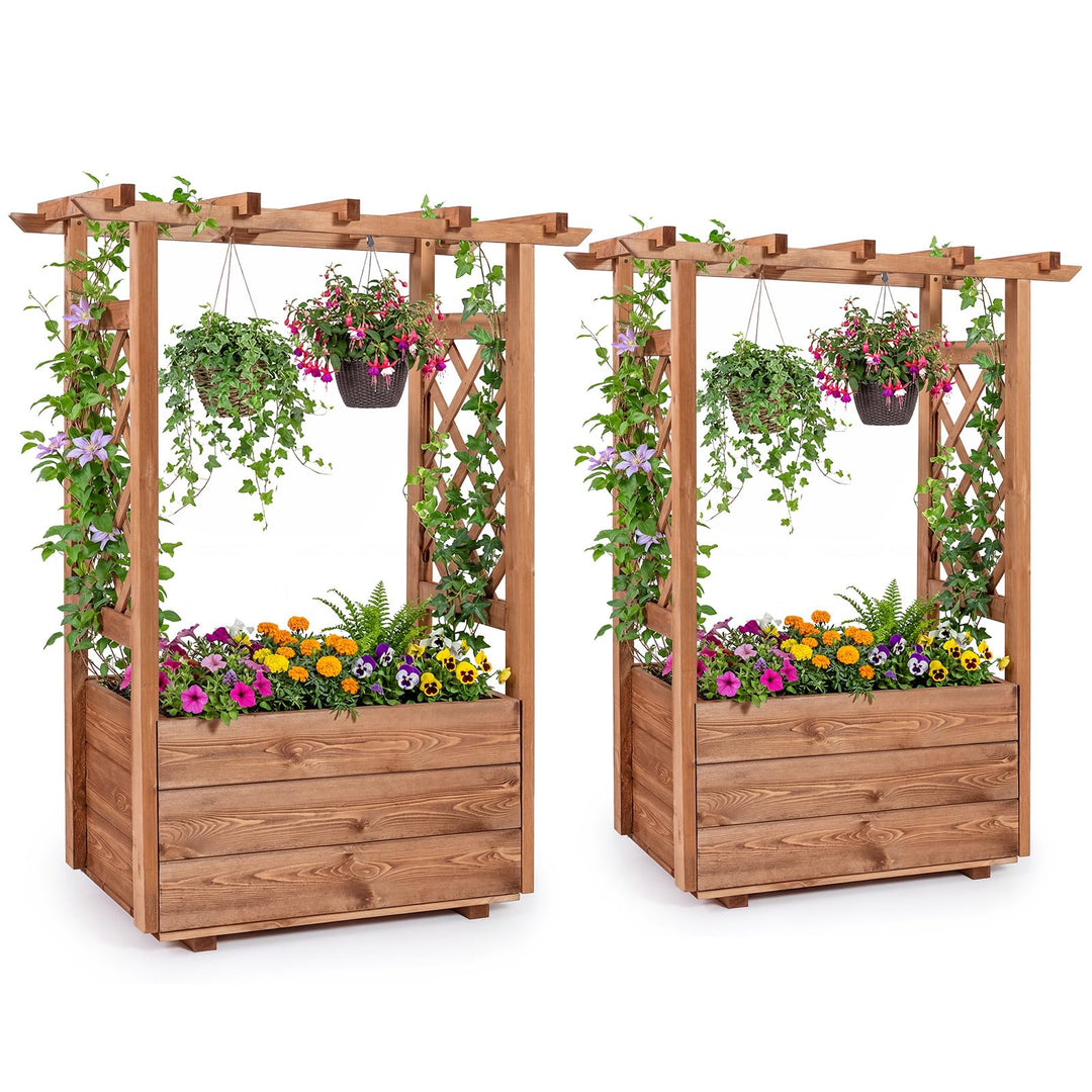 Giantex Raised Garden Bed with Sided Trellis and Hanging Roof