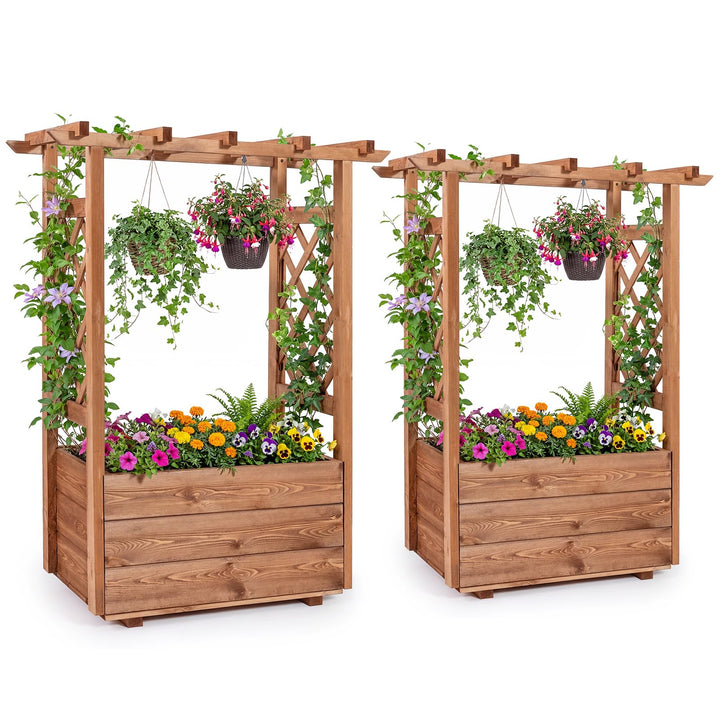 Giantex Raised Garden Bed with Sided Trellis and Hanging Roof