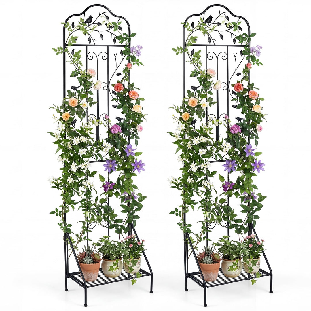 Giantex Metal Garden Trellis for Climbing Plants