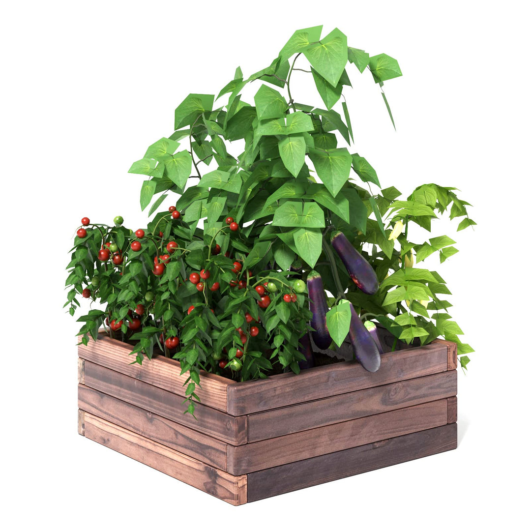 Brown Raised Garden Bed,  24'' L x 24'' W x 10''H