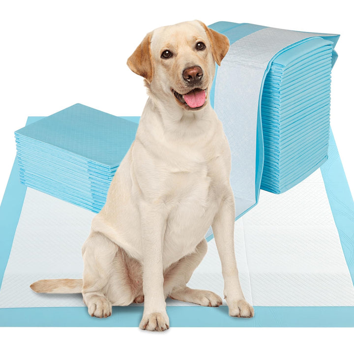 Giantex Dog Pee Pads 100 Count 36''x36'' Extra Large Dog Potty Pads