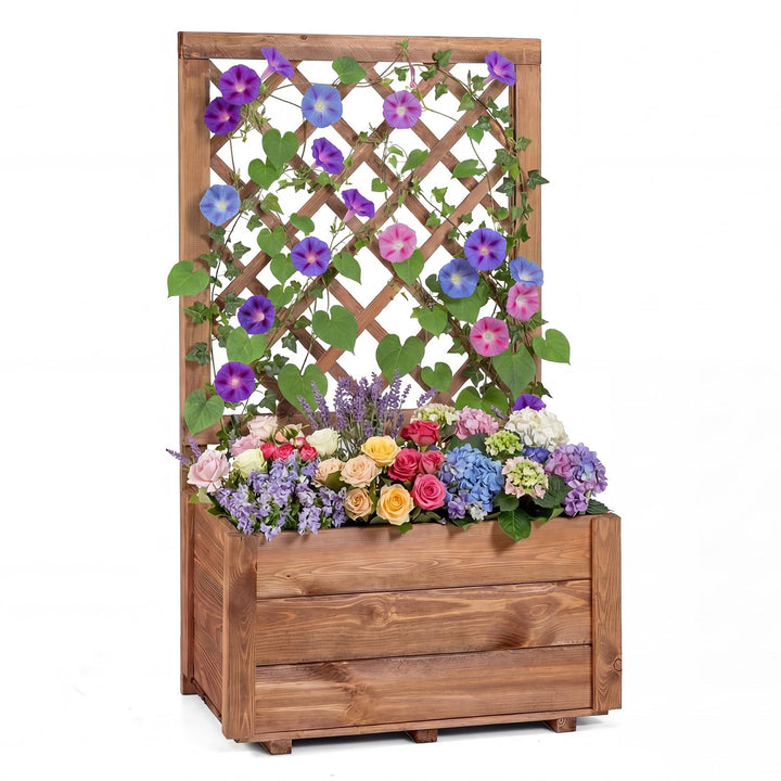 Giantex Raised Garden Bed with Trellis (1/2)
