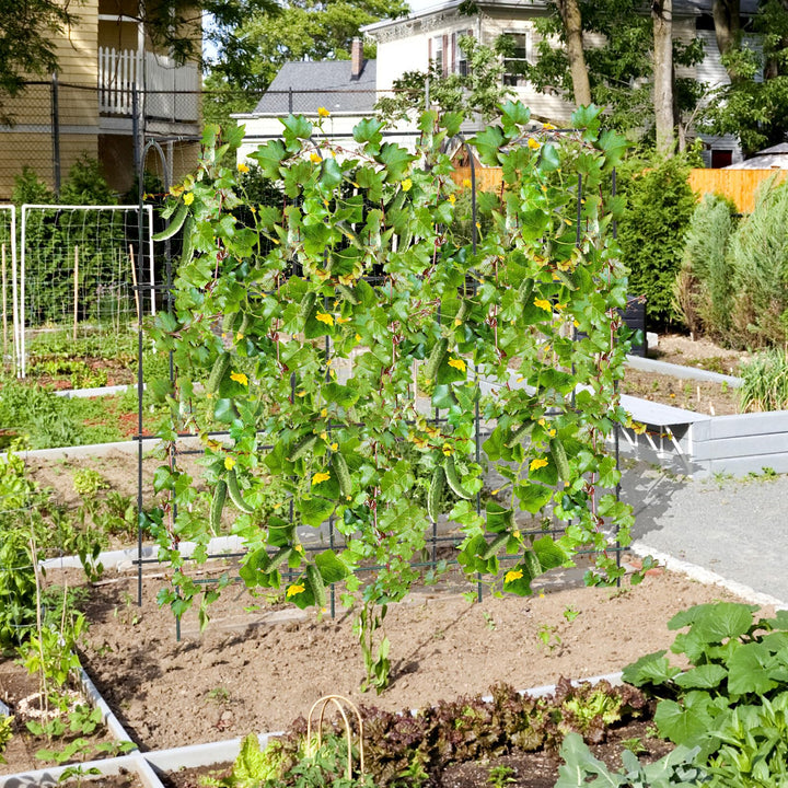 Giantex Garden Arched Trellis for Climbing Plants, 71” x 71” U-Shaped Tall Cucumber Trellis for Raised Garden Bed