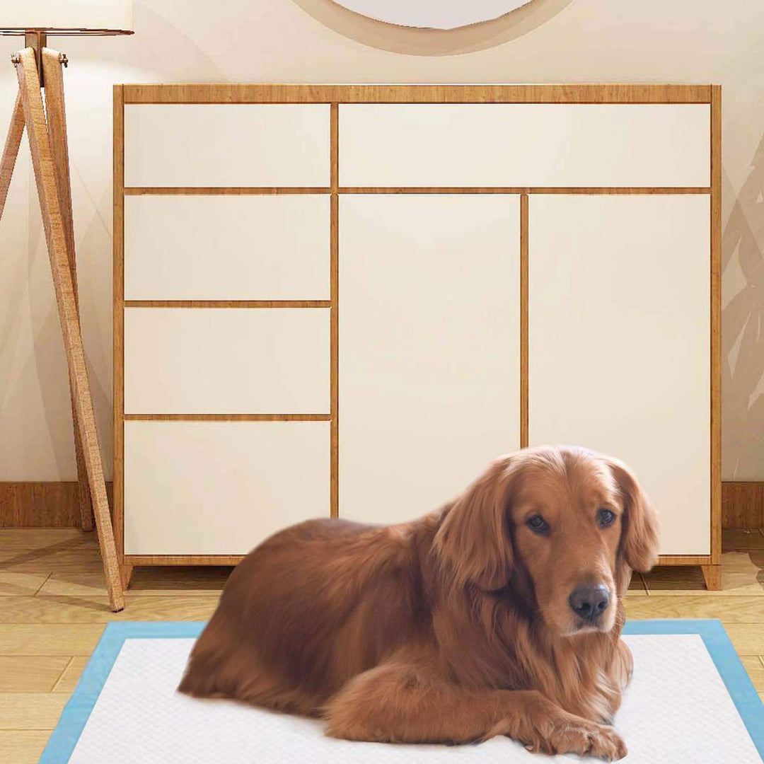 Giantex Dog Pee Pads 100 Count 36''x36'' Extra Large Dog Potty Pads