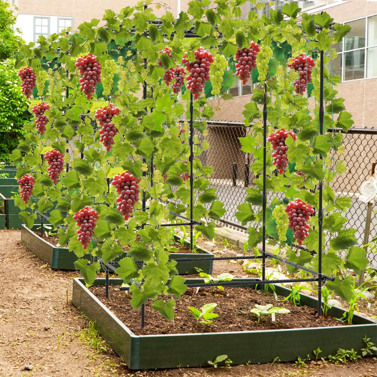 Giantex Cucumber Trellis, Trellis for Climbing Plants Outdoor