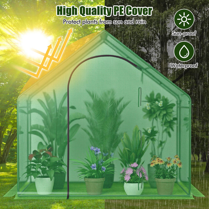 Giantex 6x3x5.5 FT Mini Walk-in Greenhouse, with Roll-up Zippered Door & Window, Overlong PE Cover