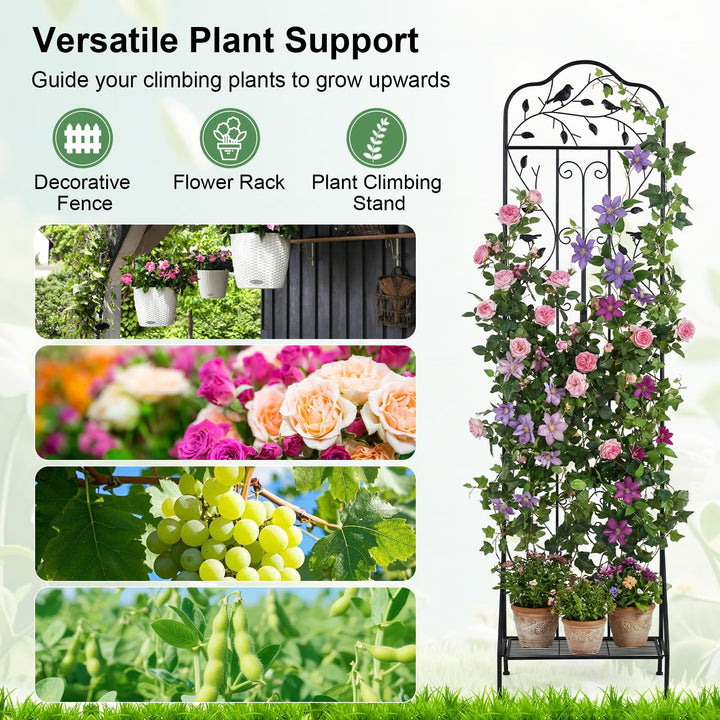 Giantex Metal Garden Trellis for Climbing Plants