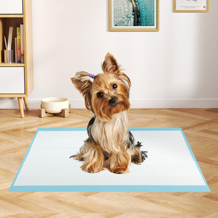 Giantex Dog Pee Pads 300 Count 24" x 17" Puppy Training Pads for Small Dogs