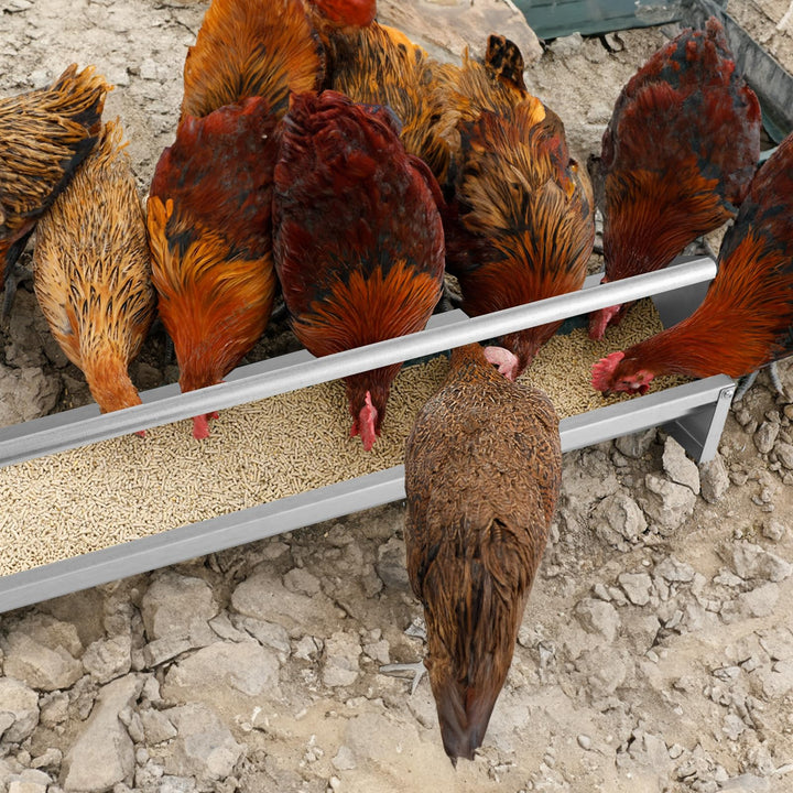 Giantex Chicken Feeding Trough 45" Long - Heavy Duty Galvanized Steel Chicken Feeder
