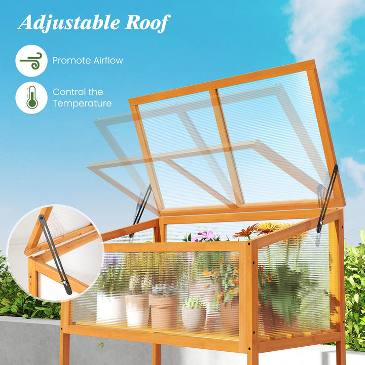 Giantex Wood Cold Frame Greenhouse with Transparent Openable Roof & Slatted Shelf