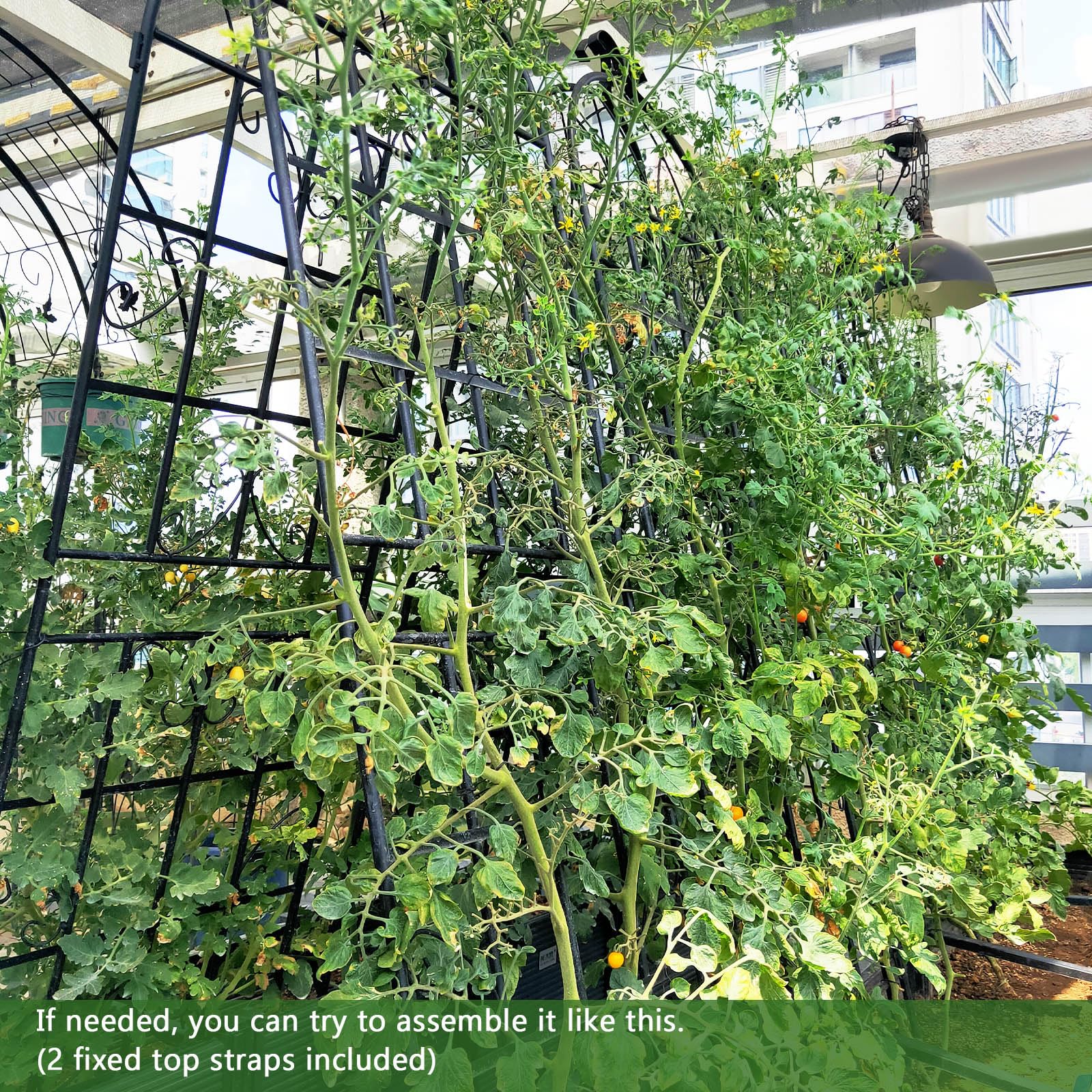 Giantex Trellis for Climbing Plants Outdoor, 6 FT Tall Galvanized Steel Garden Trellis