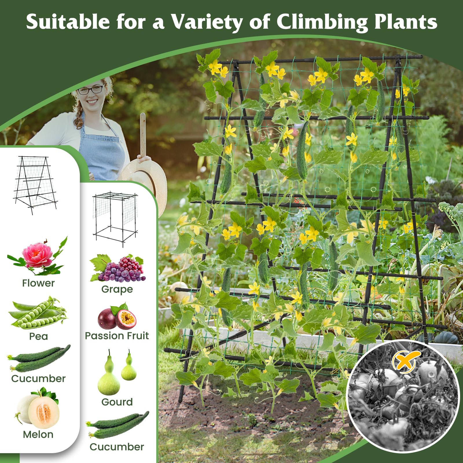 Giantex Cucumber Trellis, Trellis for Climbing Plants Outdoor