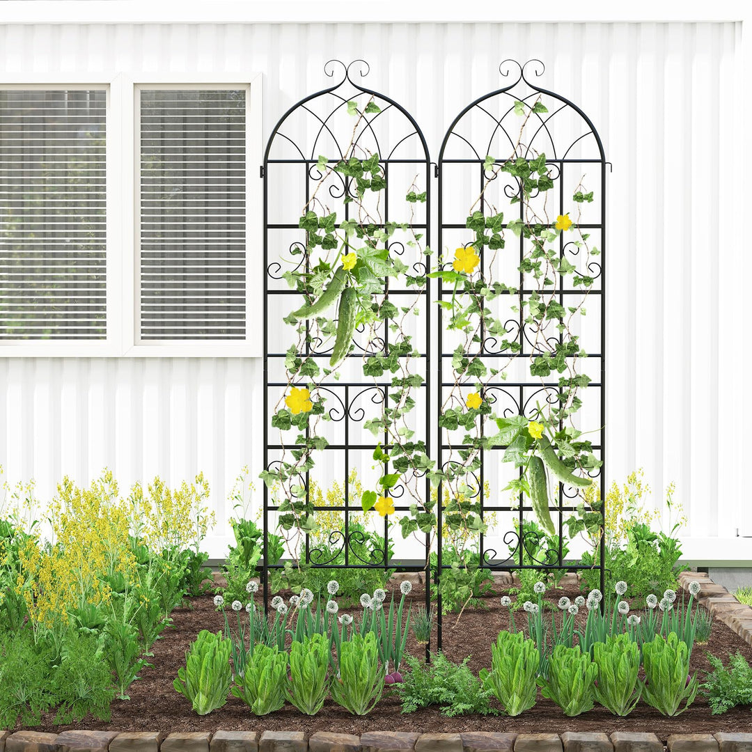 Giantex 2/4 Packs 71"x20"/86"x20" Metal Garden Trellis for Outdoor Climbing Plants