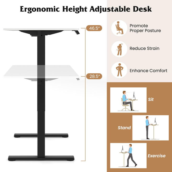 Giantex Electric Standing Desk 48" x 24" Height Adjustable Sit Stand Computer Workstation