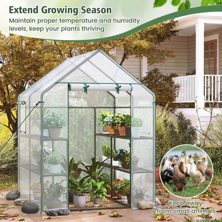 Giantex 57”L x 57”W x 77”H Walk-in Greenhouse for Outdoors