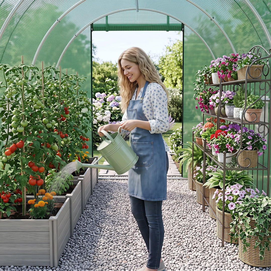 Giantex 15 x 7 x 7 ft Walk-in Tunnel Greenhouse for Outdoors