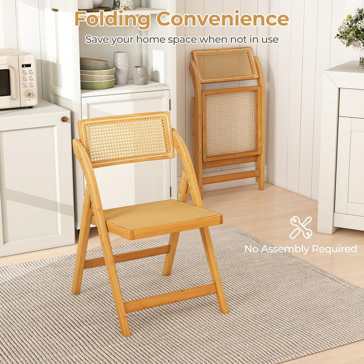 Giantex Rattan Folding Chairs Set for Living Room