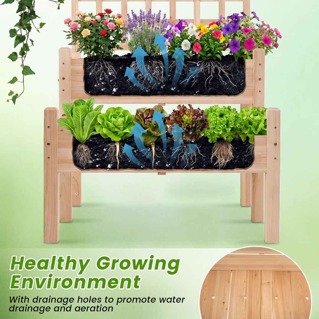 Giantex 2-Tier Raised Garden Bed with Trellis for Climbing Plants