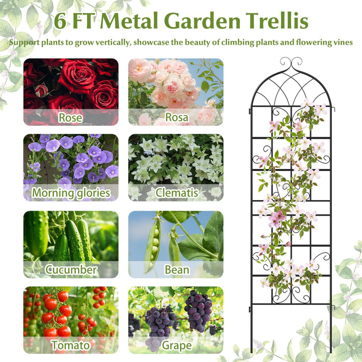 Giantex 2/4 Packs 71"x20"/86"x20" Metal Garden Trellis for Outdoor Climbing Plants