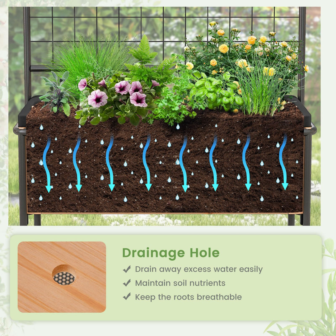 Giantex Raised Garden Bed with Trellis