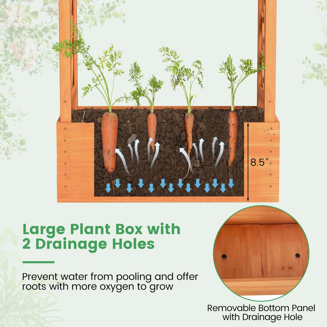 31" x 12.5" x 60" Raised Garden Bed with 2-Sided Trellis & Hanging Roof