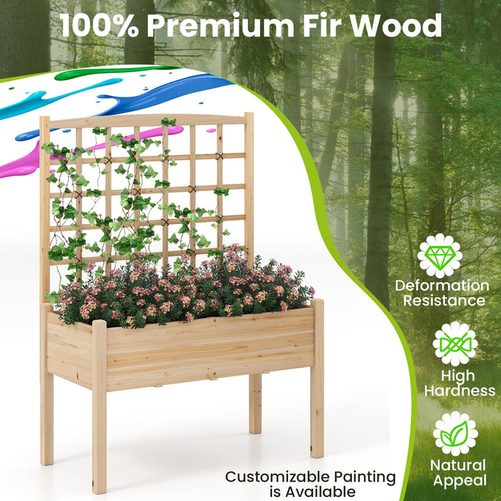 Giantex Raised Garden Bed with Trellis
