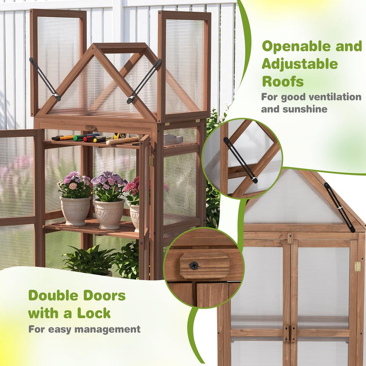 GIANTEX Garden Cold Frame w/ Transparent Flip-Top Roof &amp; 2 Adjustable Shelves