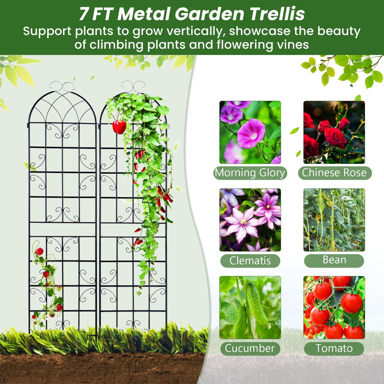 Giantex 2 Pack Trellis for Climbing Plants Outdoor, 7 FT Tall Galvanized Steel Garden Trellis