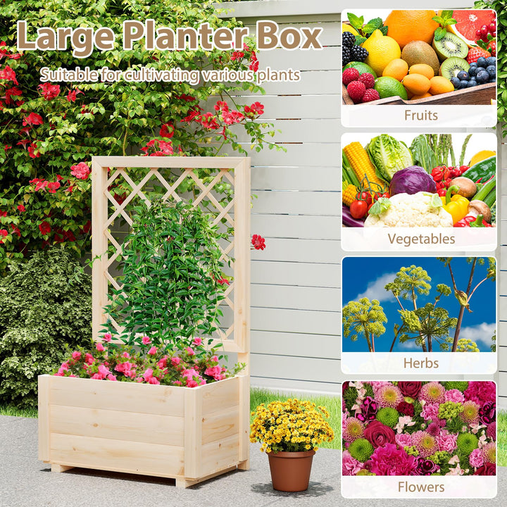 Giantex Raised Garden Bed with Trellis