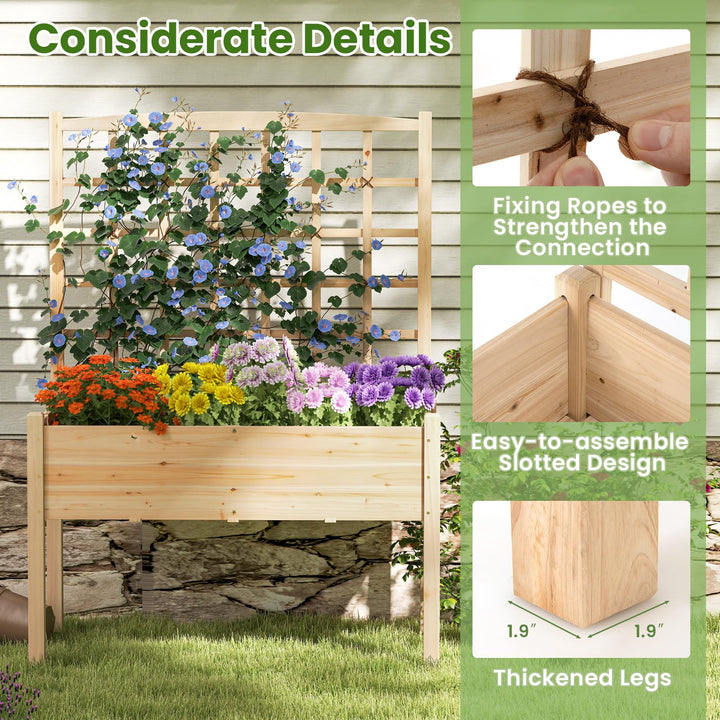 Giantex Raised Garden Bed with Trellis