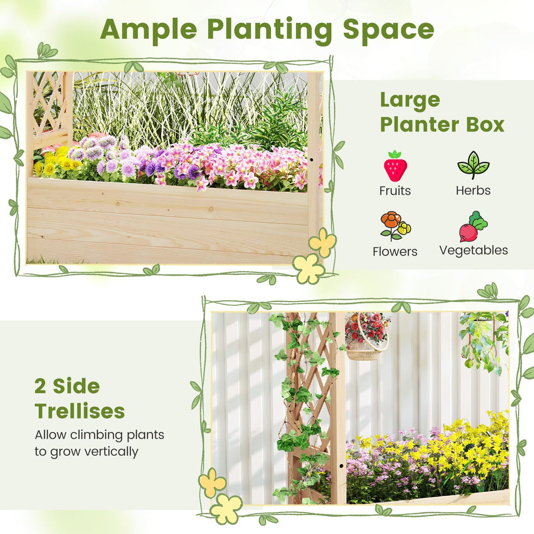Giantex Raised Garden Bed with Sided Trellis and Hanging Roof