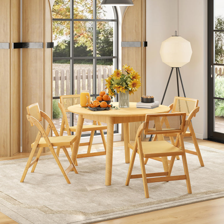 Giantex Rattan Folding Chairs Set for Living Room