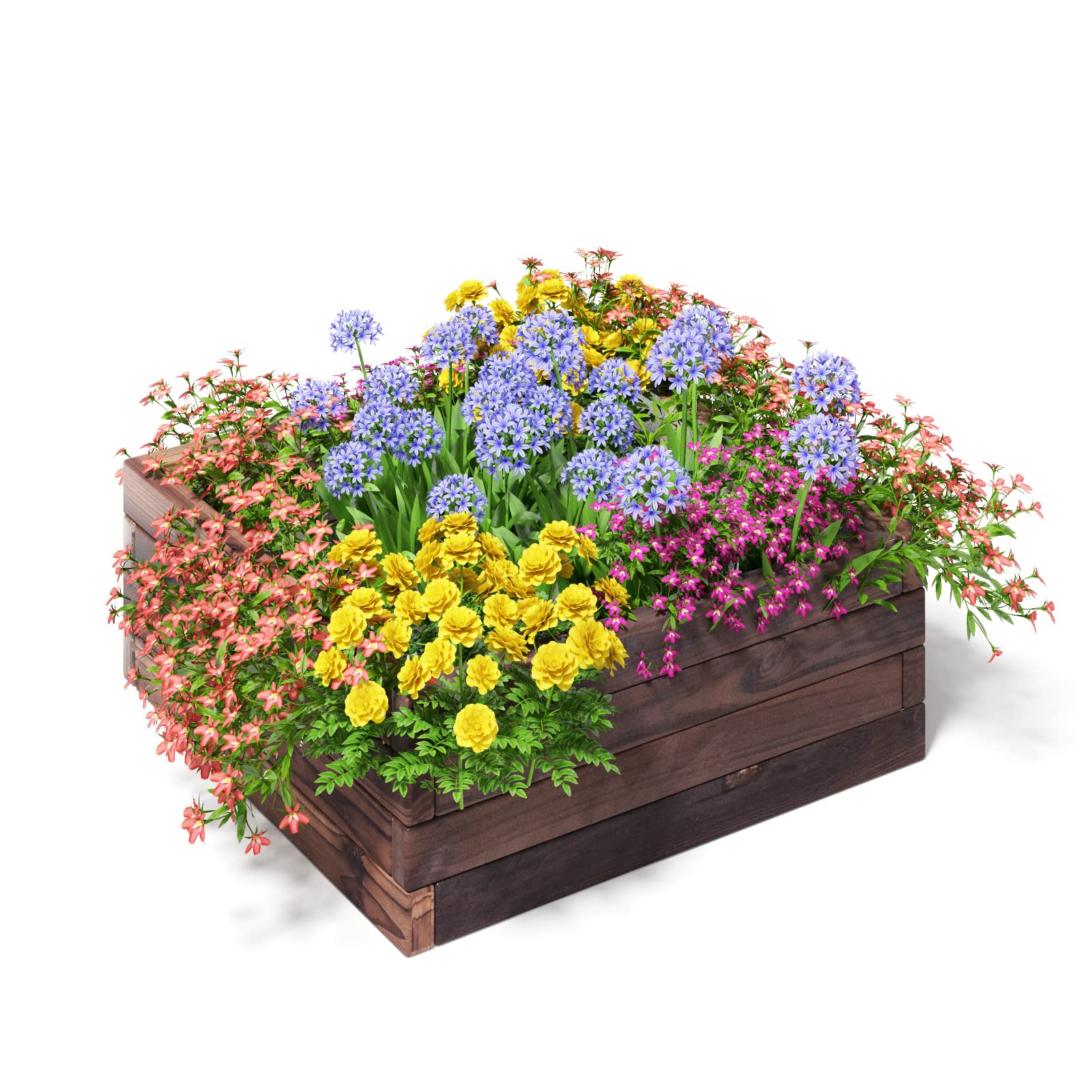 Brown Raised Garden Bed,  24'' L x 24'' W x 10''H