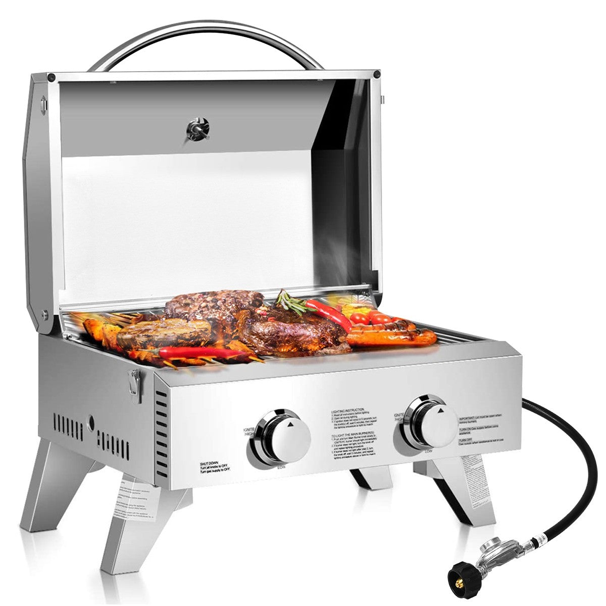 Propane TableTop Gas Grill Stainless Steel Two-Burner BBQ - Giantex