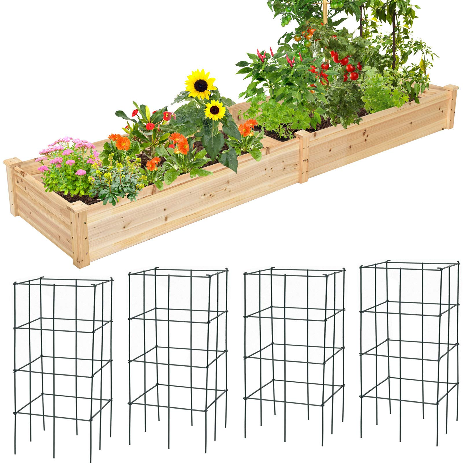 Raised Garden Bed with 4 Plant Cages & Support