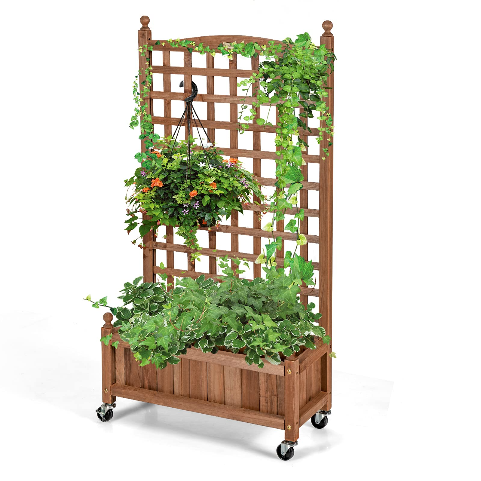 Flower Box for Plant Climbing (25'' x 11'' x  50'')