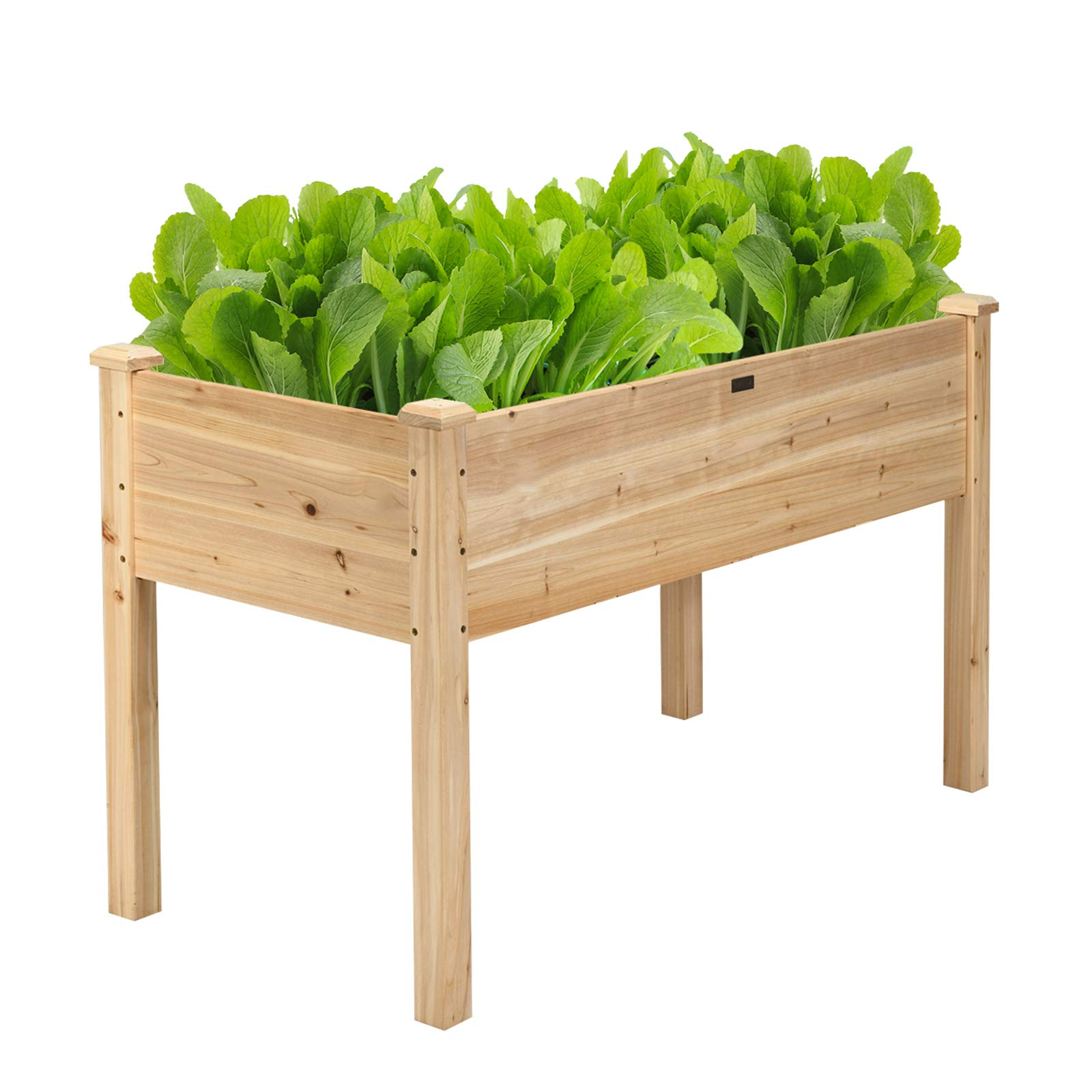 Raised Garden Bed with Legs, 49" L x 23" W x 30" H